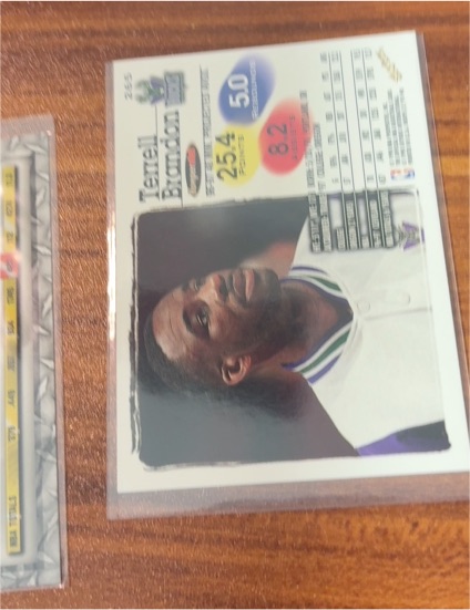1994-95 Topps #265 Terrell Brandon — front