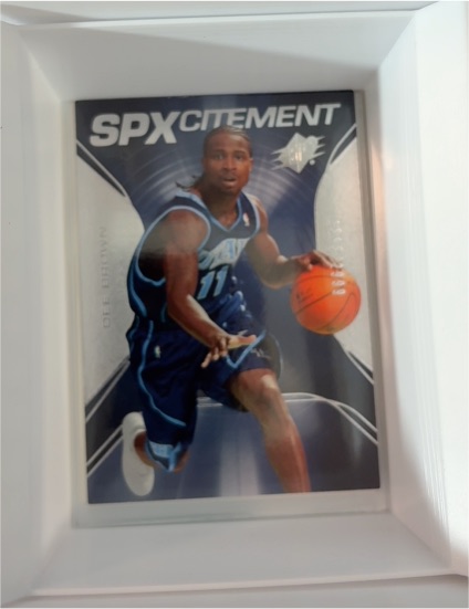 2006-07 Upper Deck SPx SPXcitement #SPX-23 Dee Brown — front