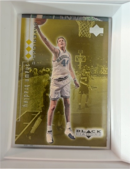 1998-99 Upper Deck Black Diamond #28 Shawn Bradley — front