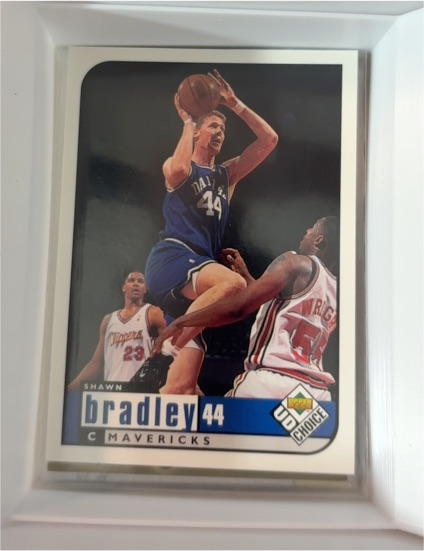1998-99 Upper Deck Collector's Choice #44 Shawn Bradley — front