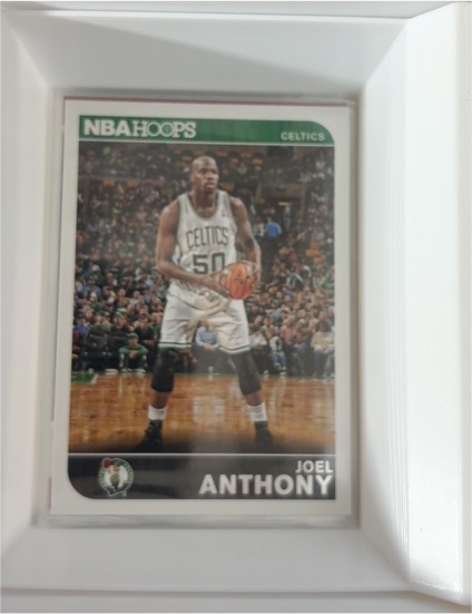 2014-15 Panini NBA Hoops #241 Joel Anthony — front