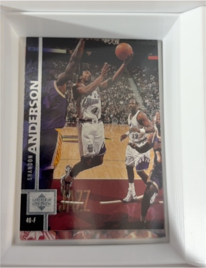 1997-98 Upper Deck #302 Shandon Anderson — front