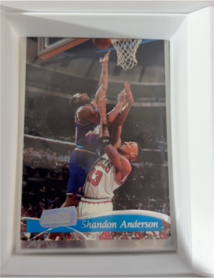 1996-97 Fleer #280 Shandon Anderson — front