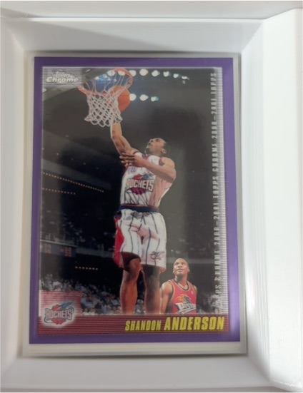 2000-01 Topps Chrome #150 Shandon Anderson — front