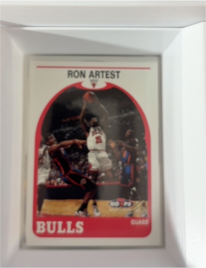 1999-00 Skybox NBA Hoops Decade #109 Ron Artest — front
