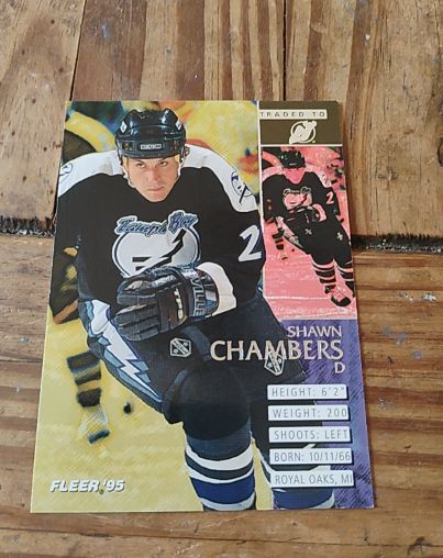 1994-95 Fleer #204 Shawn Chambers — front