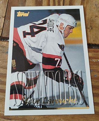 1995-96 Topps #38 Steve Larouche — front