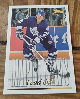 1995-96 Topps #124 Todd Gill — front