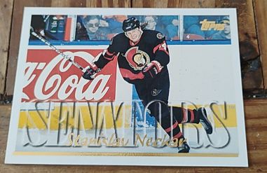 1995-96 Topps #329 Stanislav Neckar — front