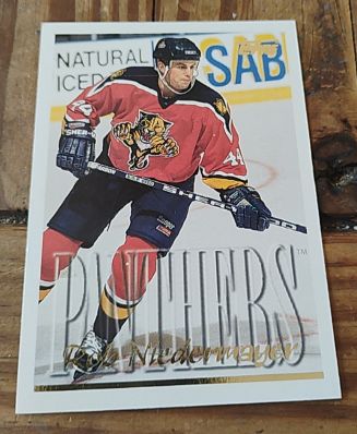 1995-96 Topps #31 Rob Niedermayer Florida Panthers — front