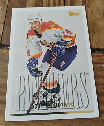 1995-96 Topps #110 Stu Barnes — front