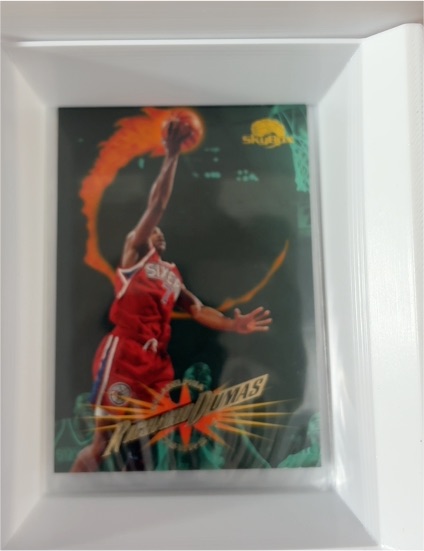 1995-96 Skybox Premium #193 Richard Dumas — front