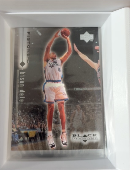1998-99 Upper Deck Black Diamond #35 Bison Dele — front