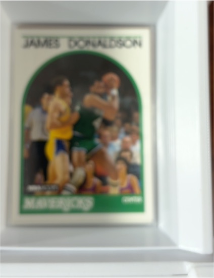 1989 Hoops #189 James Donaldson — front