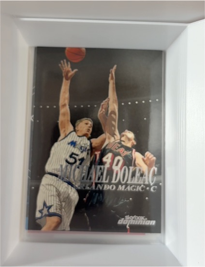 1999-00 SkyBox Dominion #103 Michael Doleac — front