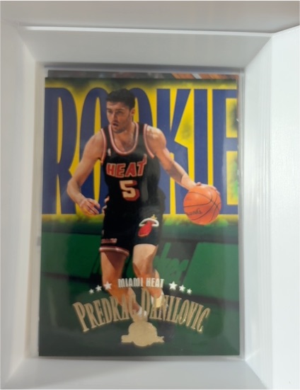 1995-96 SkyBox Premium #230 Predrag Danilovic — front