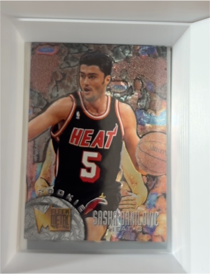 1995-96 Fleer Metal #162 Sasha Danilovic — front