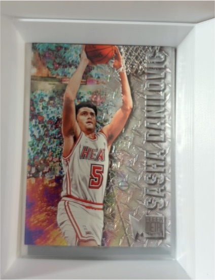 1996-97 Fleer Skybox Metal #51 Sasha Danilovic — front