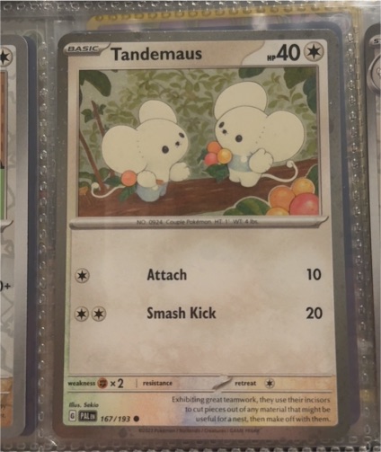 2023 Pokémon Tandemaus #167/193 — front
