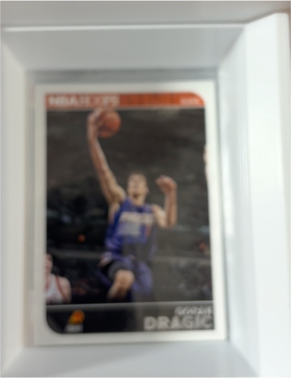 2014-15 Panini NBA Hoops #234 Goran Dragic — front