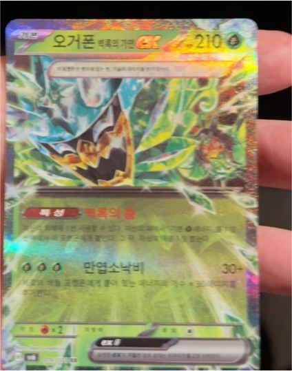 2023 Pokémon Korean #016 Ogerpon ex — front