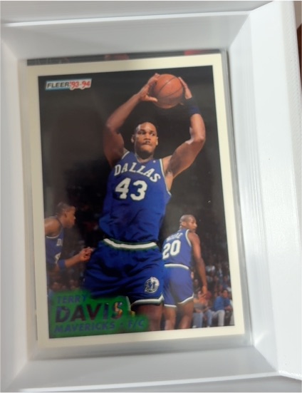1993-94 Fleer #43 Terry Davis — front