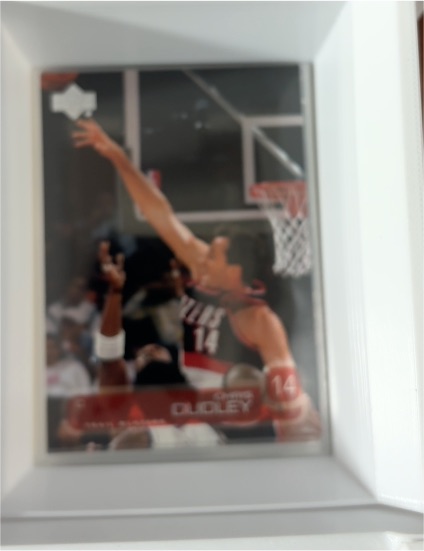 1996-97 Upper Deck #314 Chris Dudley — front