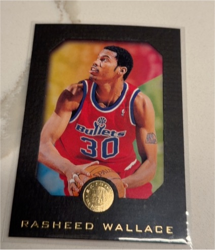 1995-96 Skybox E-XL #90 Rasheed Wallace — front