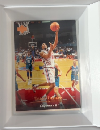 1995-96 Upper Deck #48 Terry Dehere — front