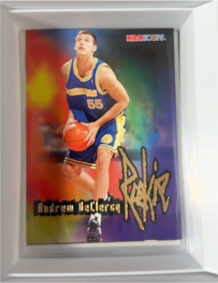 1995-96 Hoops #263 Andrew DeClercq — front