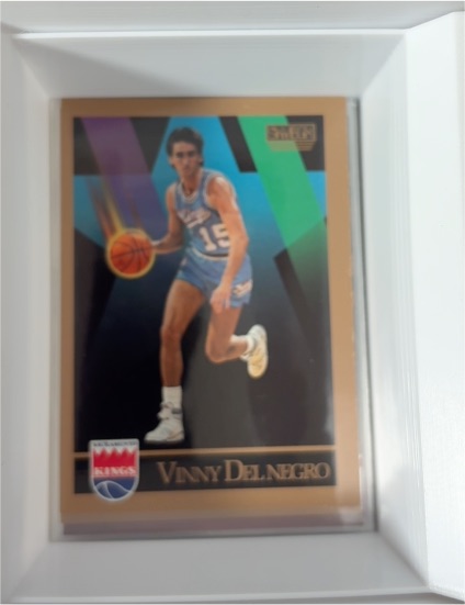 1990-91 SkyBox #245 Vinny Del Negro — front