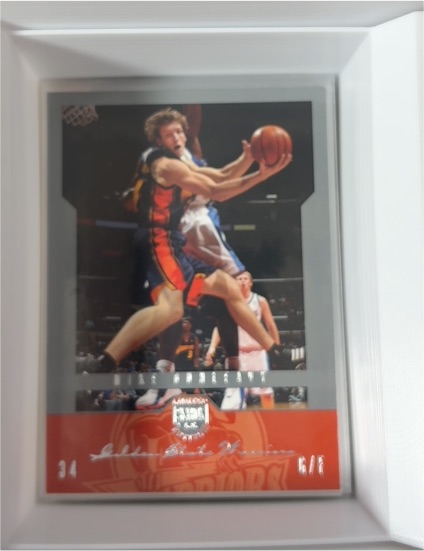 2004-05 SkyBox Limited Edition #33 Mike Dunleavy — front