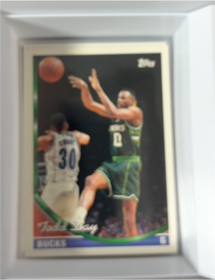 1993-94 Topps Gold #28 Todd Day — front