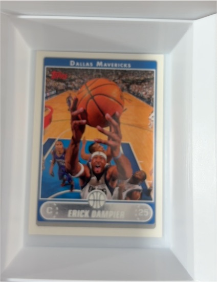 2006-07 Topps #136 Erick Dampier — front