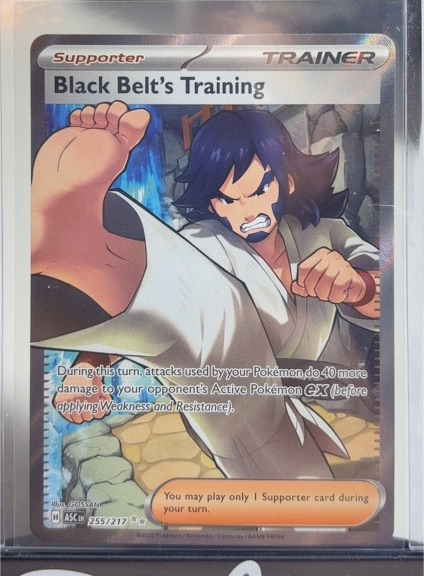 2026 Pokémon Ascended Heroes #255 Black Belt's Training — front