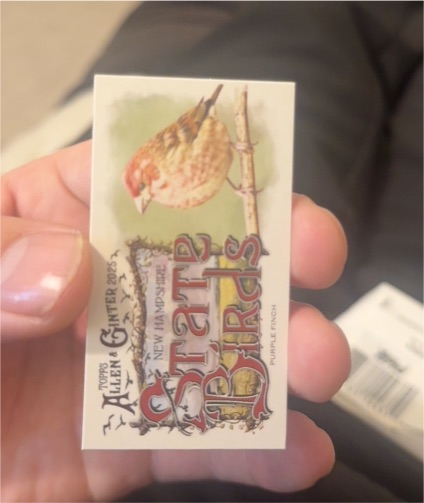 2025 Topps Allen & Ginter Mini State Birds #SB-25 Purple Finch — front