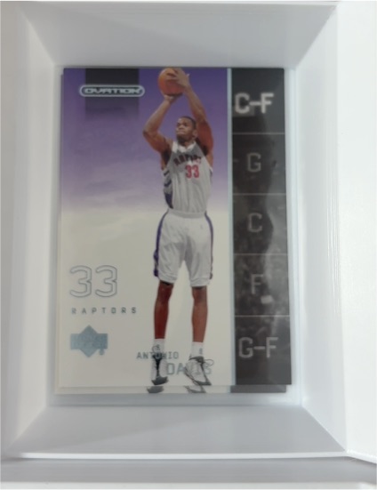 2002 Upper Deck Ovation #33 Antonio Davis — front