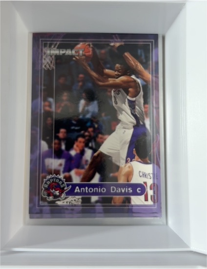 1999-00 SkyBox Impact #195 Antonio Davis — front