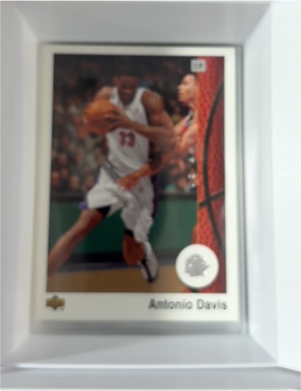 2002-03 Upper Deck Authentics #84 Antonio Davis — front