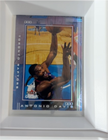 2001-02 Fleer Genuine #23 Antonio Davis — front