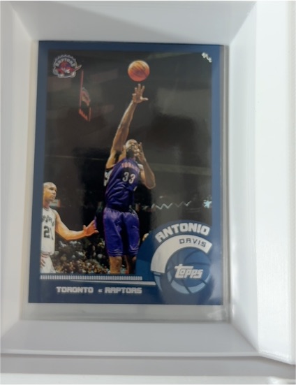 2002-03 Topps #114 Antonio Davis — front