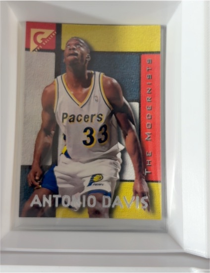 1995-96 Topps Gallery #27 Antonio Davis — front