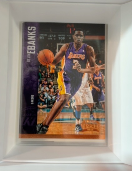 2012-13 Panini Threads #68 Devin Ebanks — front