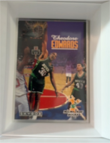1992-93 SkyBox #364 Theodore Edwards — front