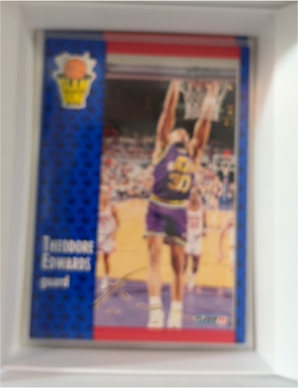 1991-92 Fleer #227 Theodore "Blue" Edwards — front