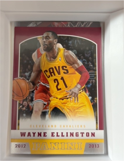 2012-13 Panini #172 Wayne Ellington — front