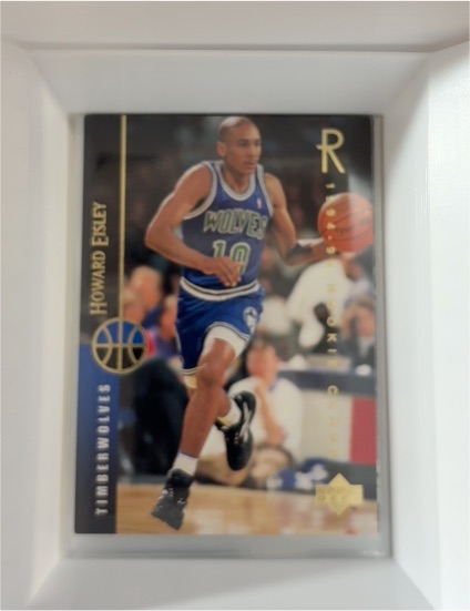 1994-95 Upper Deck #223 Howard Eisley — front