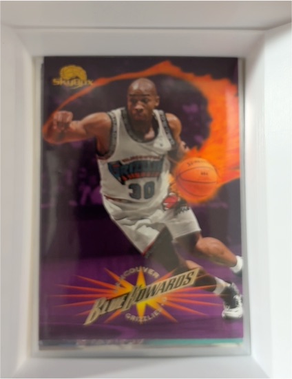 1995-96 Skybox Premium #213 Blue Edwards — front