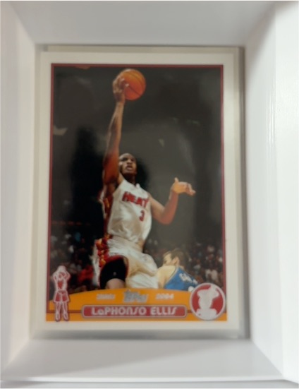 2003-04 Topps #64 LaPhonso Ellis — front