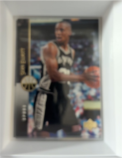 1994-95 Upper Deck #53 Sean Elliott — front